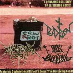 Dysfunctional Rotout / Dead Risen / Hell Bovine - Cow Rot