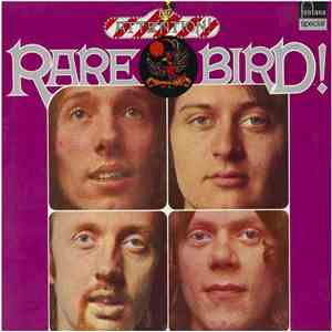 Rare Bird - Attention! Rare Bird!