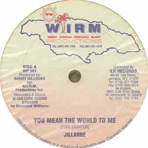 Jillanne / Screechie Ranks - You Mean The World To Me / Love & Unity