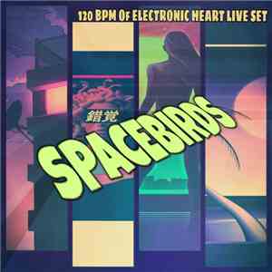 Spacebirds - 120 BPM Of Electronic Heart Live Set @ Guslitsa, 2018-02-17