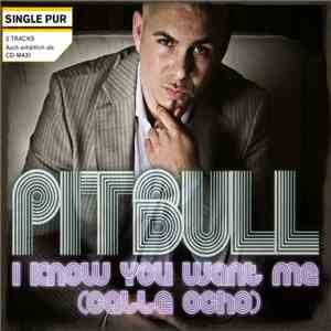 Pitbull - I Know You Want Me (Calle Ocho)