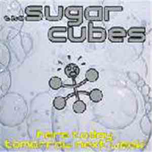 The Sugar Cubes - Here Today, Tomorrow Next Week!