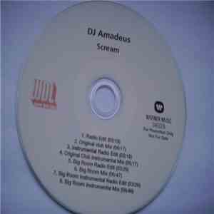 DJ Amadeus - Scream