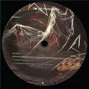 Duckett - Risks