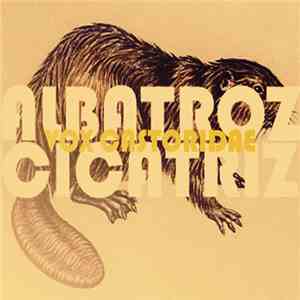 Vox Castoridae - Albatroz