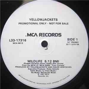 Yellowjackets - Wildlife, Mile High