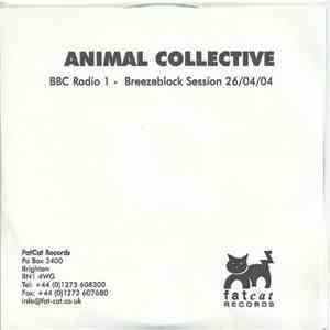 Animal Collective - BBC Radio 1 - Breezeblock Session 26/04/04