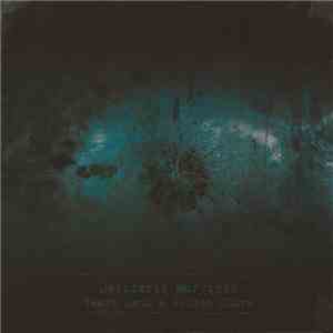 Desiderii Marginis - Years Lend A Golden Charm