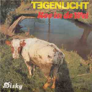 Tegenlicht - Koe In de Wei