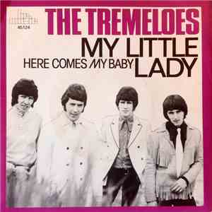 The Tremeloes - My Little Lady