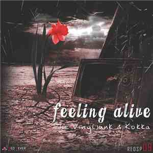 The Vinyljunk & Kokka - Feeling Alive