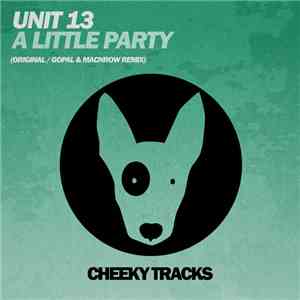Unit 13 - A Little Party