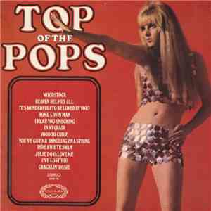 Unknown Artist - Top Of The Pops Vol. 14