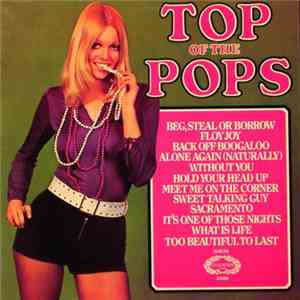 Unknown Artist - Top Of The Pops Vol. 23