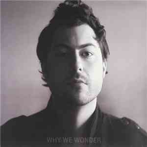 Andrew Cole  - Why We Wonder