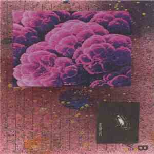 Particle Magazine - Swallowing Communication