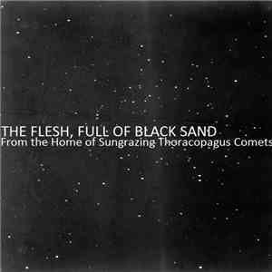 The Flesh, Full Of Black Sand - From The Home Of Sungrazing Thoracopagus Comets