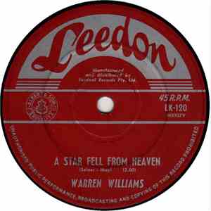 Warren Williams  - A Star Fell From Heaven