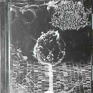 Gallery Of Darkness - Instinct