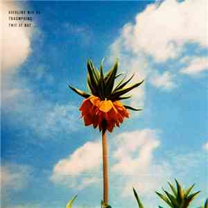 Traumprinz - This Is Not ...