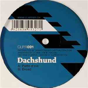 Dachshund - Patte D'Oie