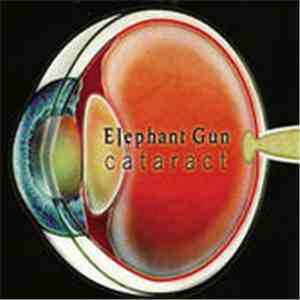 Elephant Gun - Cataract