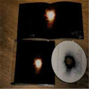 Forest Moonlight - ...