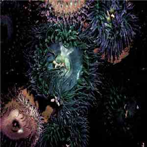 Liife - By The Waters The Trees
