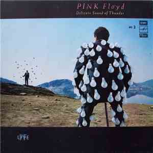 Pink Floyd - Delicate Sound Of Thunder № 2