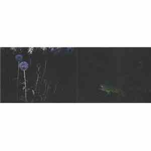 Stuart Chalmers / Z. Zsigo - Untitled
