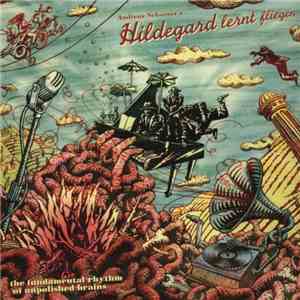 Andreas Schaerer's Hildegard Lernt Fliegen - The Fundamental Rhythm Of Unpolished Brains