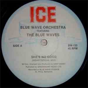 Blue Wave Orchestra Feat The Blue Waves - She's So Good