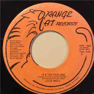 Cece Noll - It's The Feeling