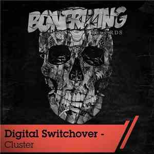 Digital Switchover - Cluster