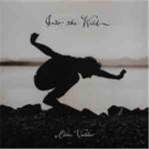 Eddie Vedder - Into The Wild