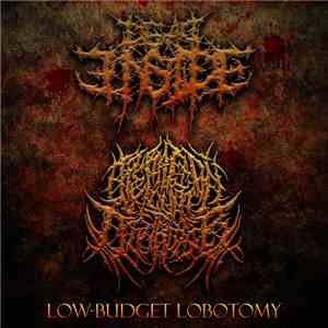 Operation Cunt Destroyer / Dead Inside  - Low-Budget Lobotomy