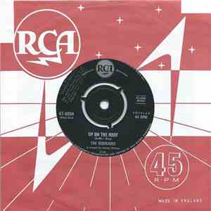 The Sidekicks  - Up On The Roof