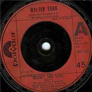 Walter Egan - Magnet And Steel