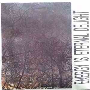 Siegmar Fricke, A Thunder Orchestra - Energy is Eternal Delight