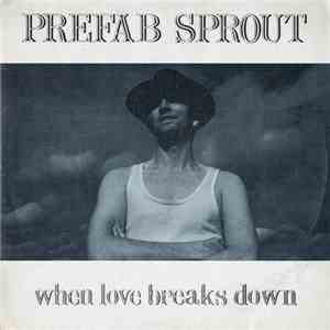 Prefab Sprout - When Love Breaks Down