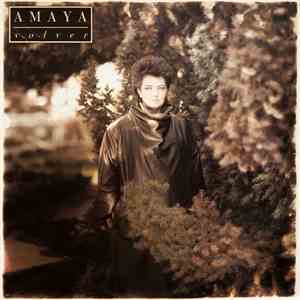 Amaya - Volver