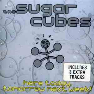 The Sugarcubes - Here Today, Tomorrow Next Week!