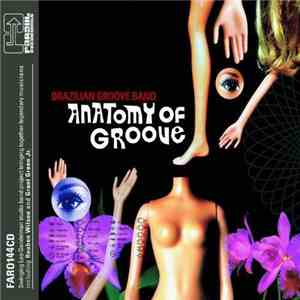 Brazilian Groove Band - Anatomy Of Groove