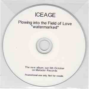 Iceage - Plowing Into The Field Of Love