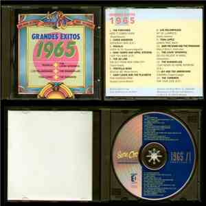 Various - Grandes Exitos 1965