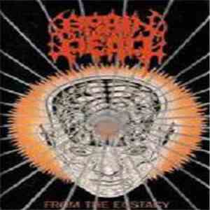 Brain Dead  - From The Ecstacy