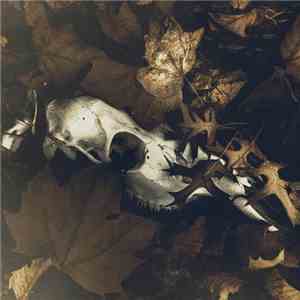 Pray For Teeth - From The Dry Edge Of The Shore