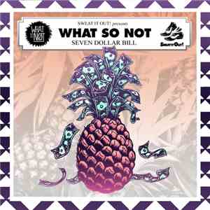 What So Not - Seven Dollar Bill