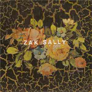 Zak Sally - Fear Of Song