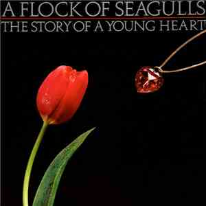A Flock Of Seagulls - The Story Of A Young Heart